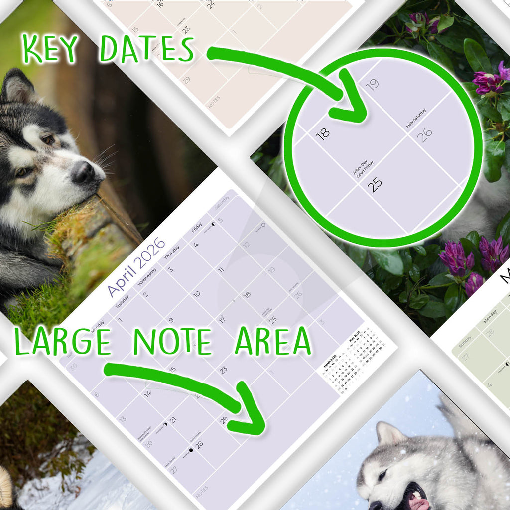 Alaskan Malamute Wall Calendar 2026