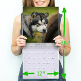Alaskan Malamute Wall Calendar 2026