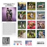 American Pit Bull Terrier Wall Calendar 2026
