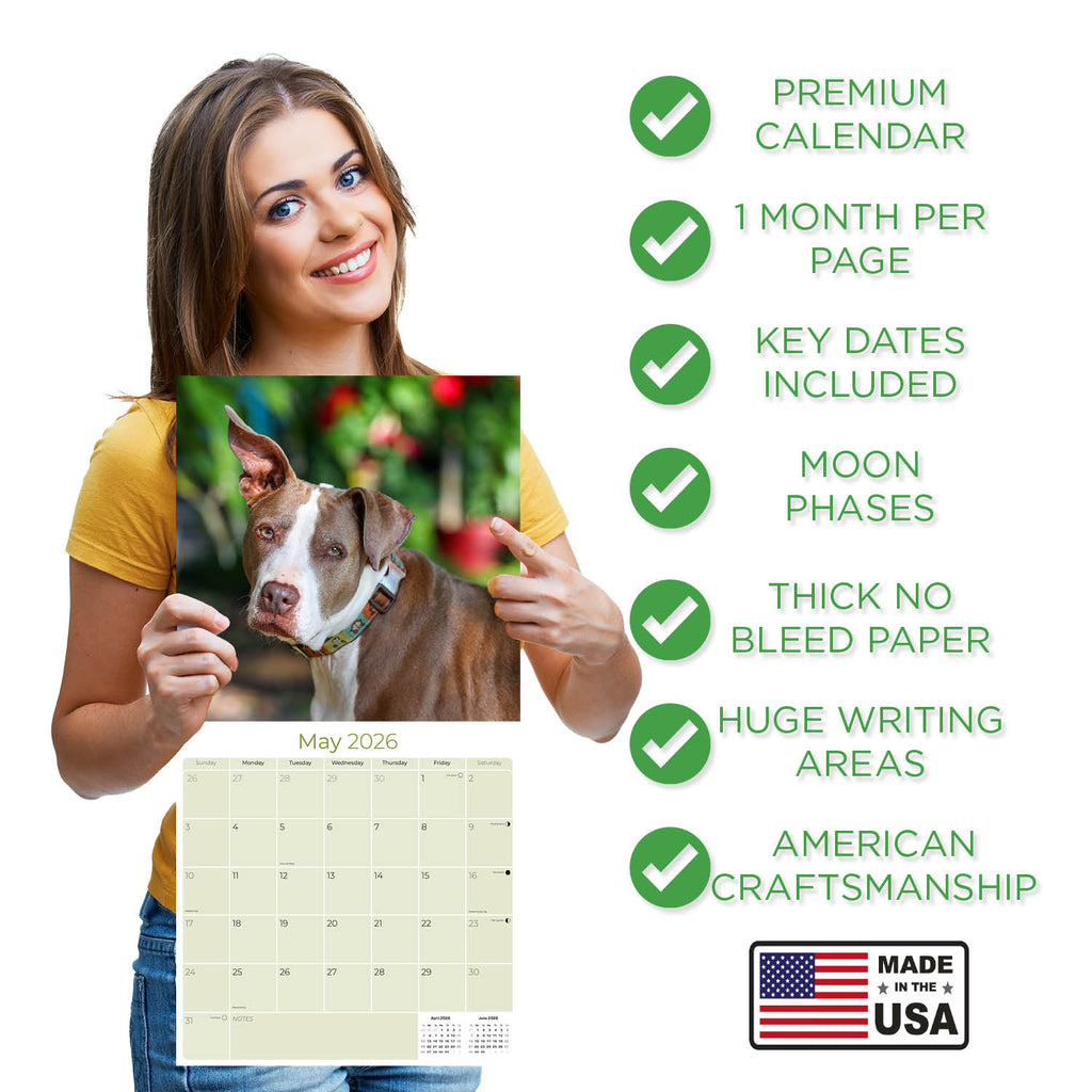 American Pit Bull Terrier Wall Calendar 2026