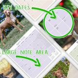 American Pit Bull Terrier Wall Calendar 2026