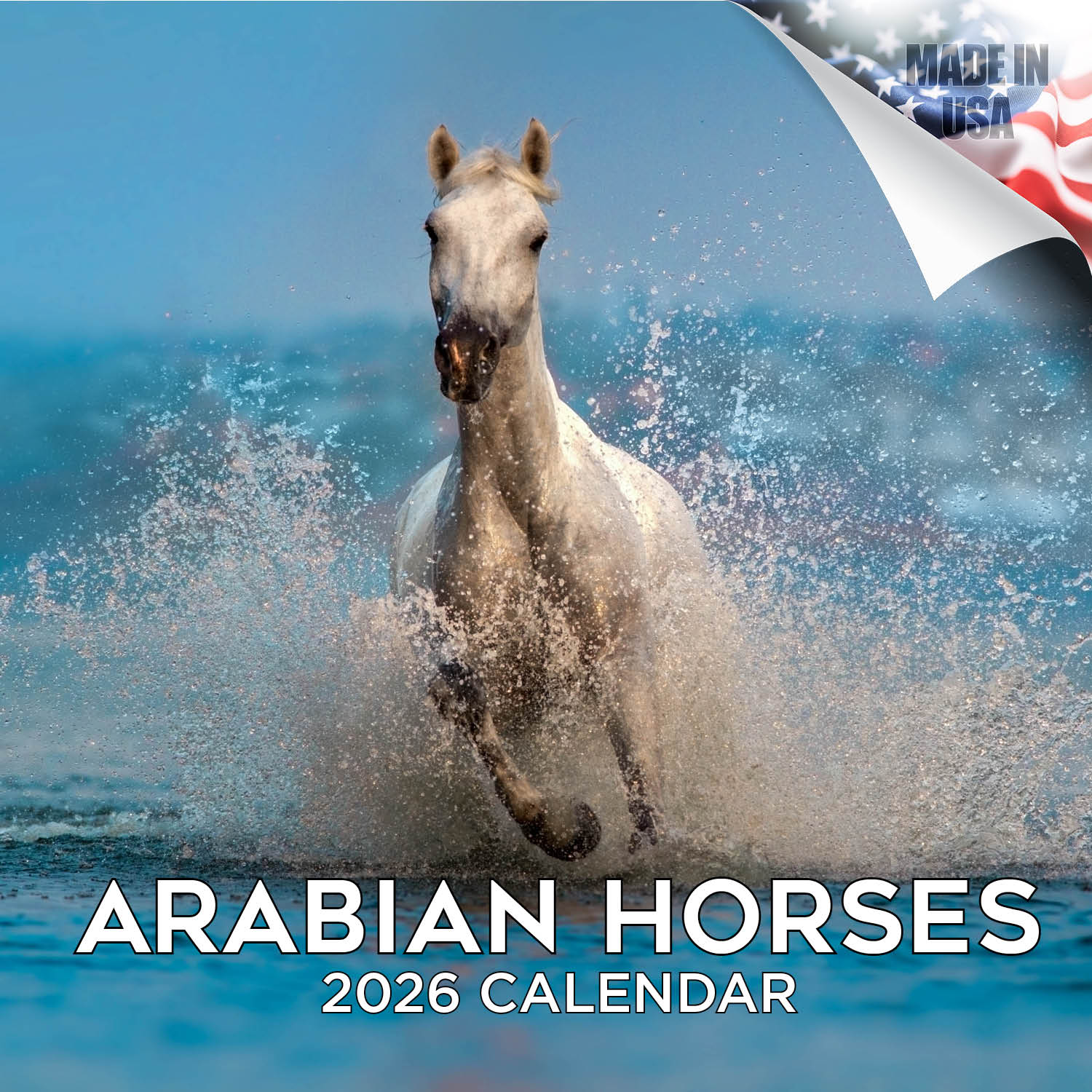 Arabian Horses Wall Calendar 2026