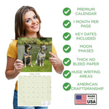Australian Cattle Dog Wall Calendar 2026