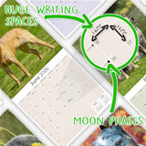 Australian Cattle Dog Wall Calendar 2026