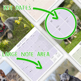 Australian Cattle Dog Wall Calendar 2026