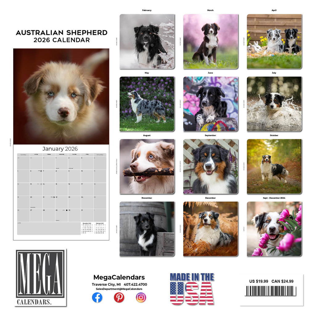 Australian Shepherd Wall Calendar 2026