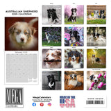Australian Shepherd Wall Calendar 2026