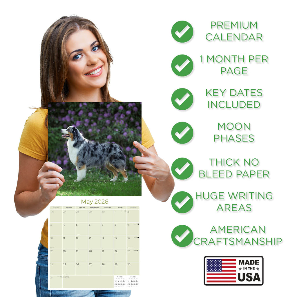 Australian Shepherd Wall Calendar 2026