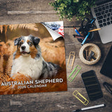 Australian Shepherd Wall Calendar 2026