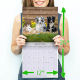 Australian Shepherd Wall Calendar 2026