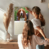 Basset Hound Wall Calendar 2026