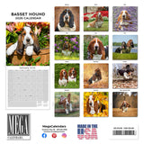 Basset Hound Wall Calendar 2026