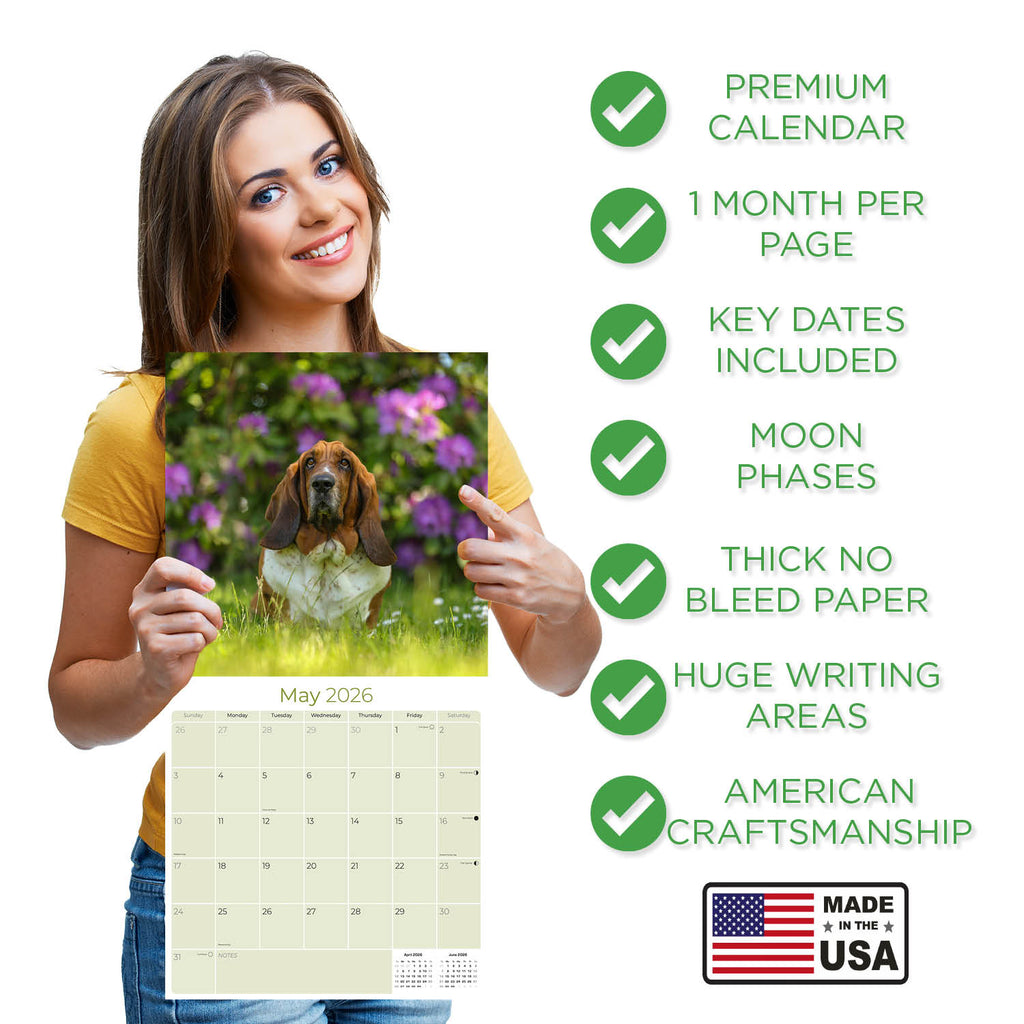 Basset Hound Wall Calendar 2026