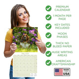 Basset Hound Wall Calendar 2026