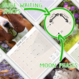 Basset Hound Wall Calendar 2026