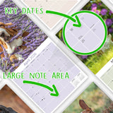 Basset Hound Wall Calendar 2026