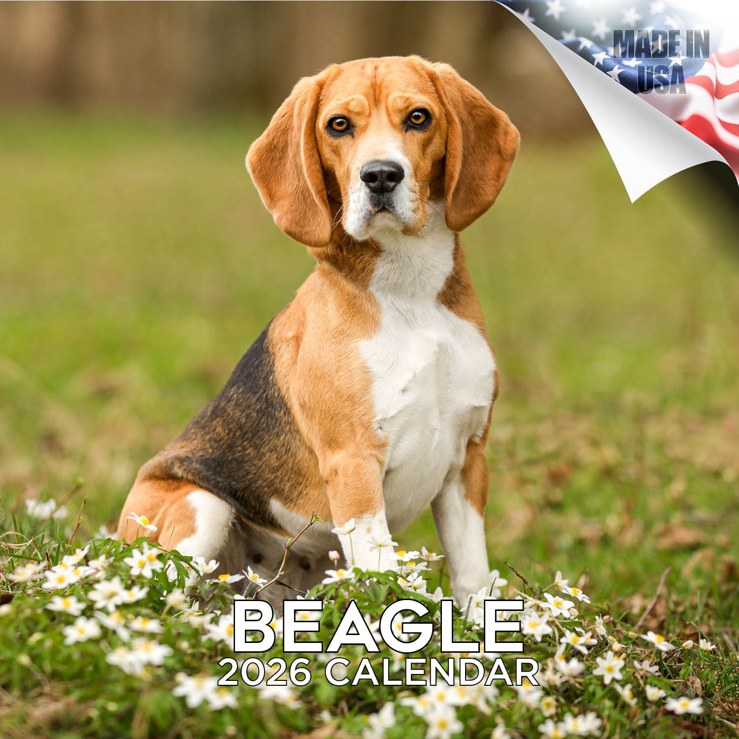 Beagle Wall Calendar 2026