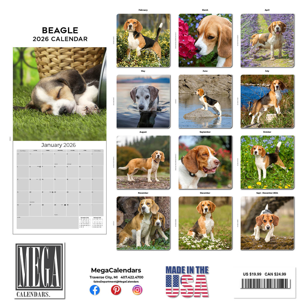 Beagle Wall Calendar 2026