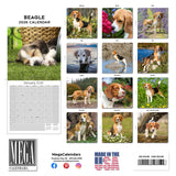 Beagle Wall Calendar 2026
