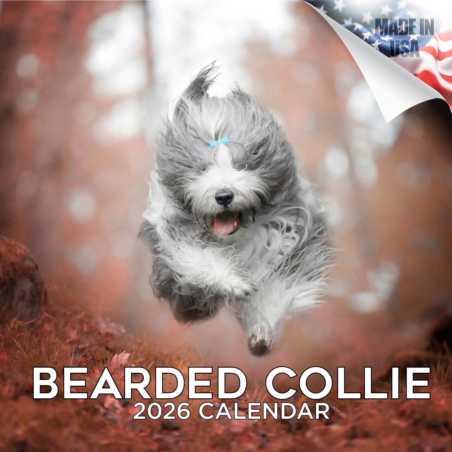 Bearded Collie Wall Calendar 2026