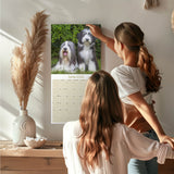 Bearded Collie Wall Calendar 2026