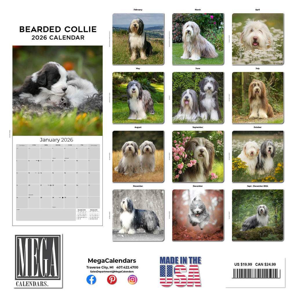 Bearded Collie Wall Calendar 2026