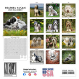 Bearded Collie Wall Calendar 2026