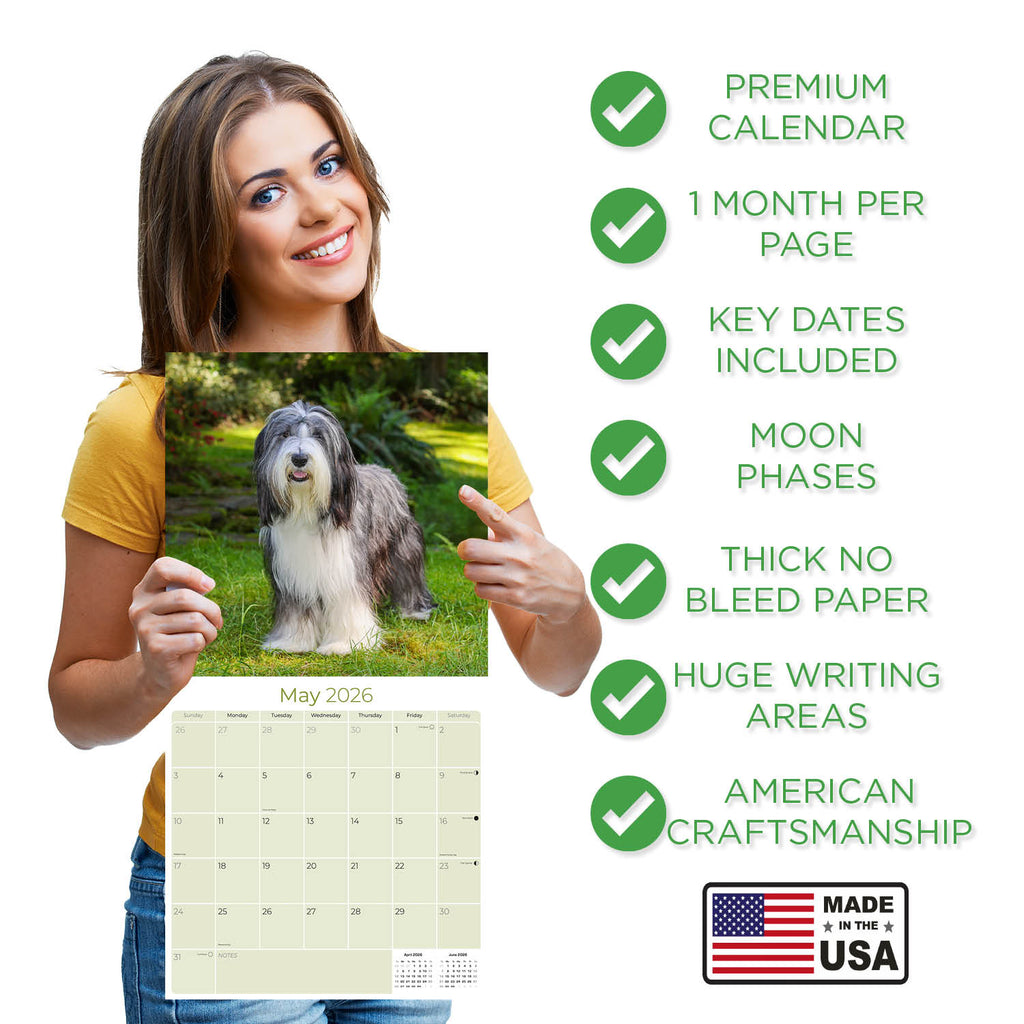 Bearded Collie Wall Calendar 2026