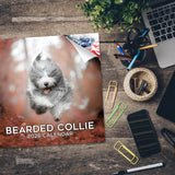 Bearded Collie Wall Calendar 2026