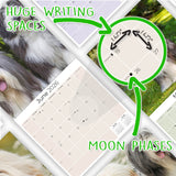 Bearded Collie Wall Calendar 2026