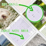 Bearded Collie Wall Calendar 2026