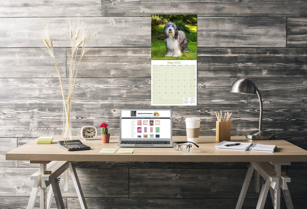 Bearded Collie Wall Calendar 2026