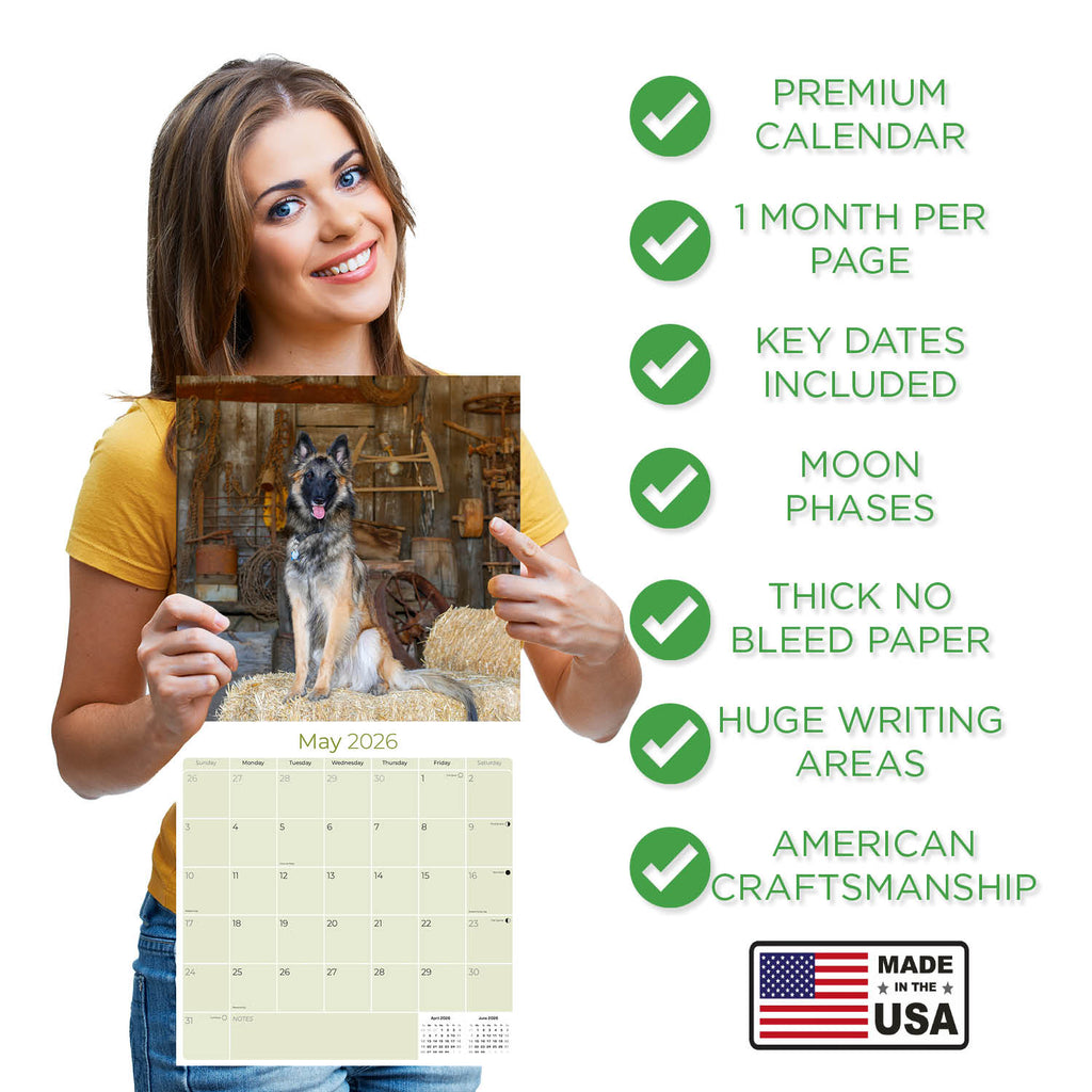 Belgian Shepherd Dog Wall Calendar 2026