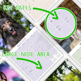 Belgian Shepherd Dog Wall Calendar 2026