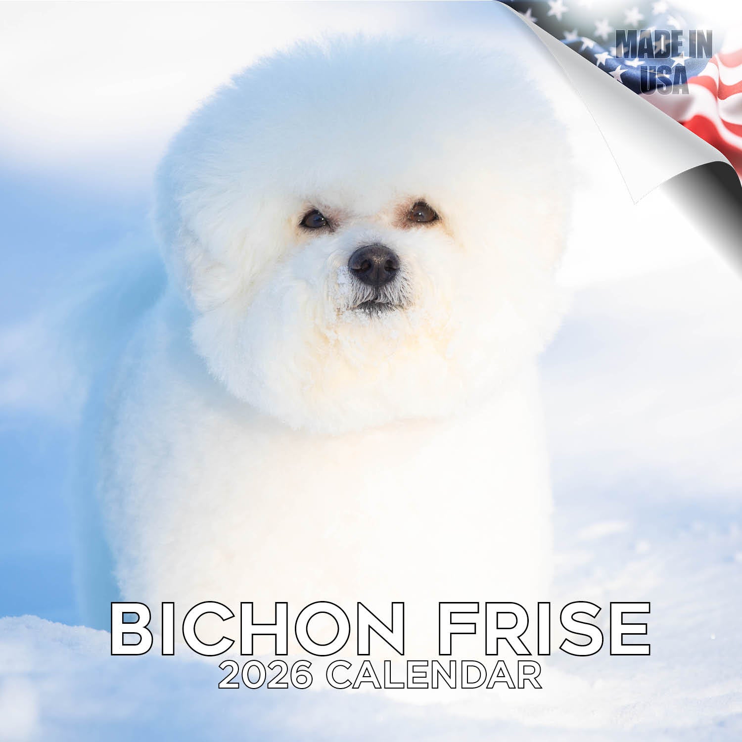Bichon Frise Wall Calendar 2026