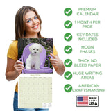 Bichon Frise Wall Calendar 2026