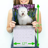 Bichon Frise Wall Calendar 2026