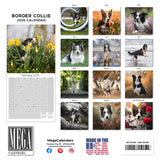 Border Collie Wall Calendar 2026