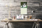 Border Collie Wall Calendar 2026