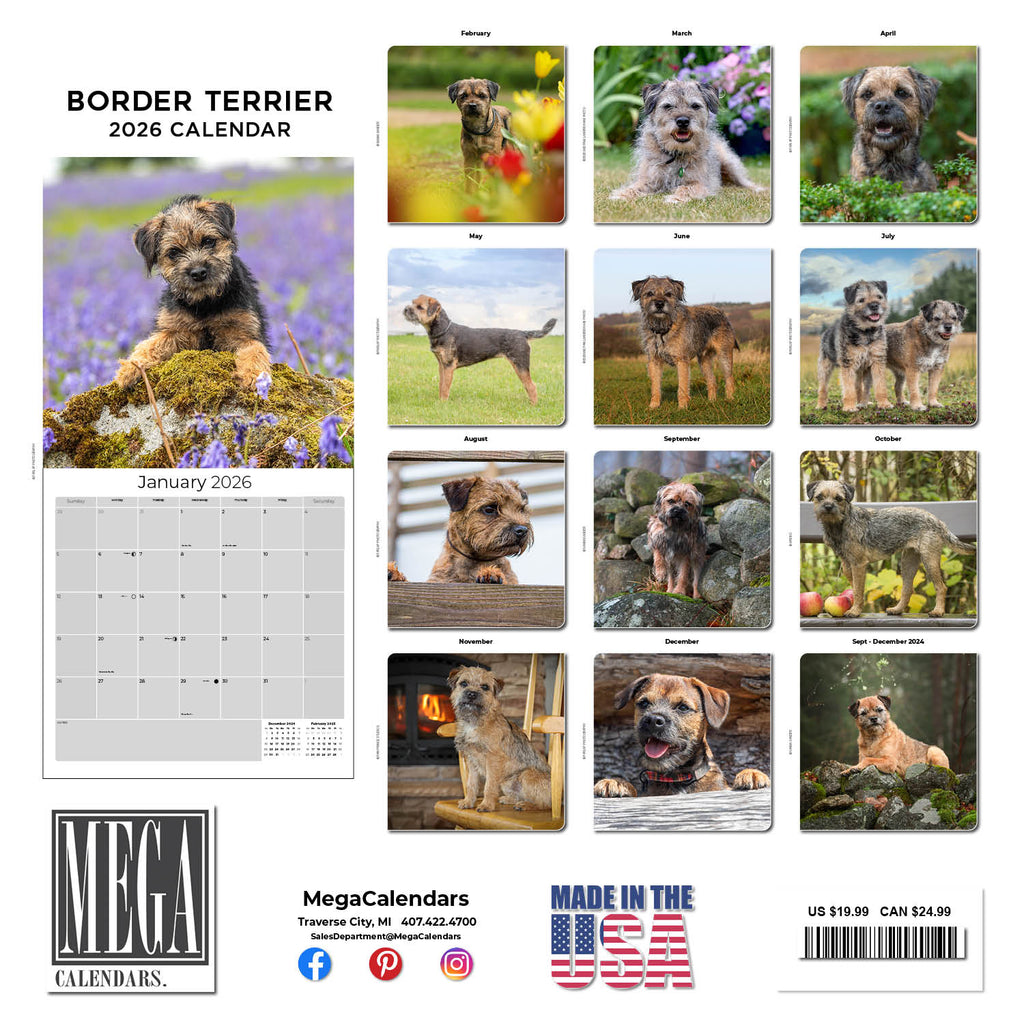 Border Terrier Wall Calendar 2026