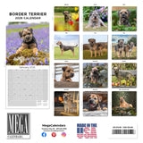 Border Terrier Wall Calendar 2026