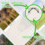 Border Terrier Wall Calendar 2026