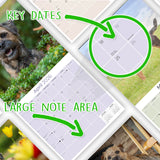 Border Terrier Wall Calendar 2026