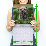 Border Terrier Wall Calendar 2026