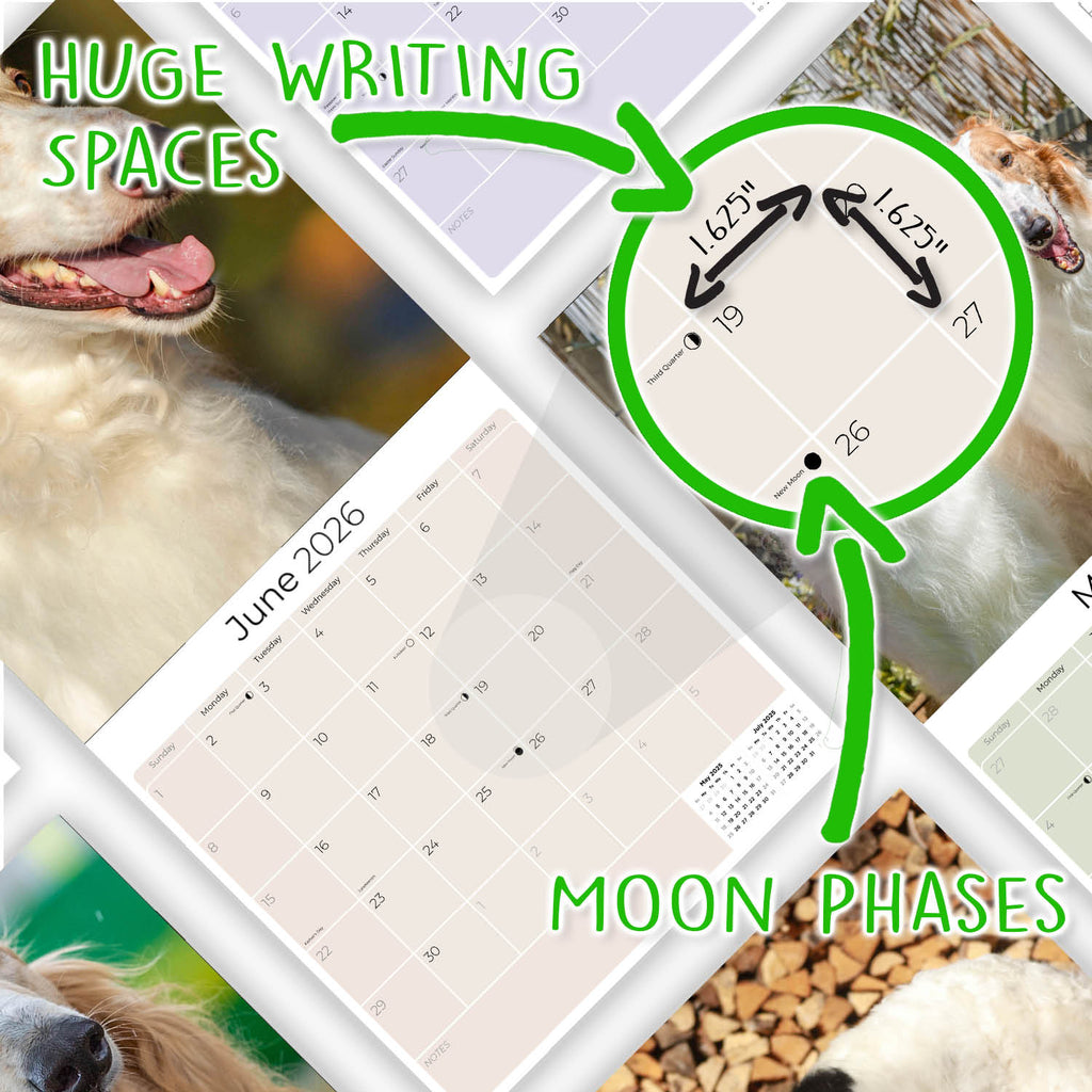 Borzoi Wall Calendar 2026