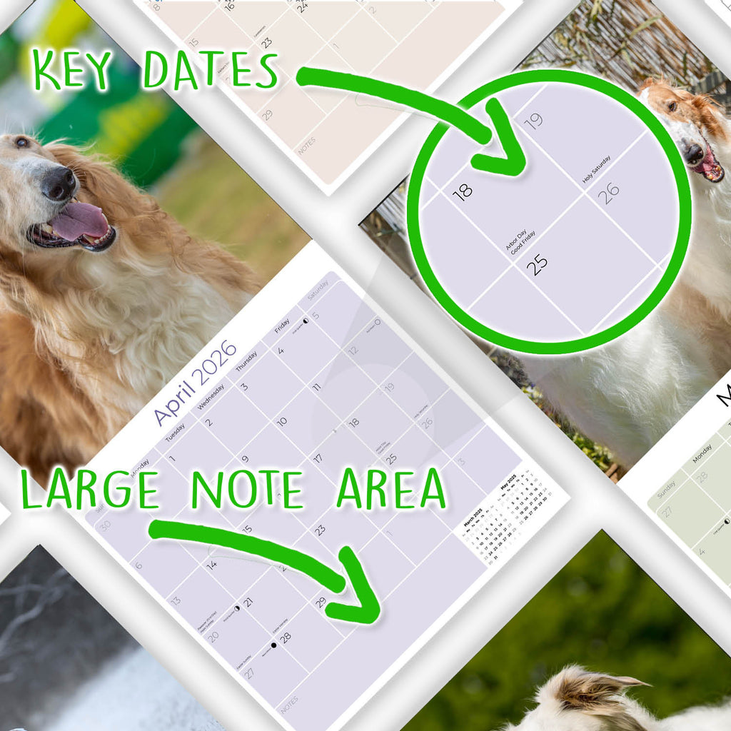 Borzoi Wall Calendar 2026