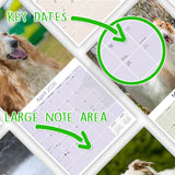 Borzoi Wall Calendar 2026