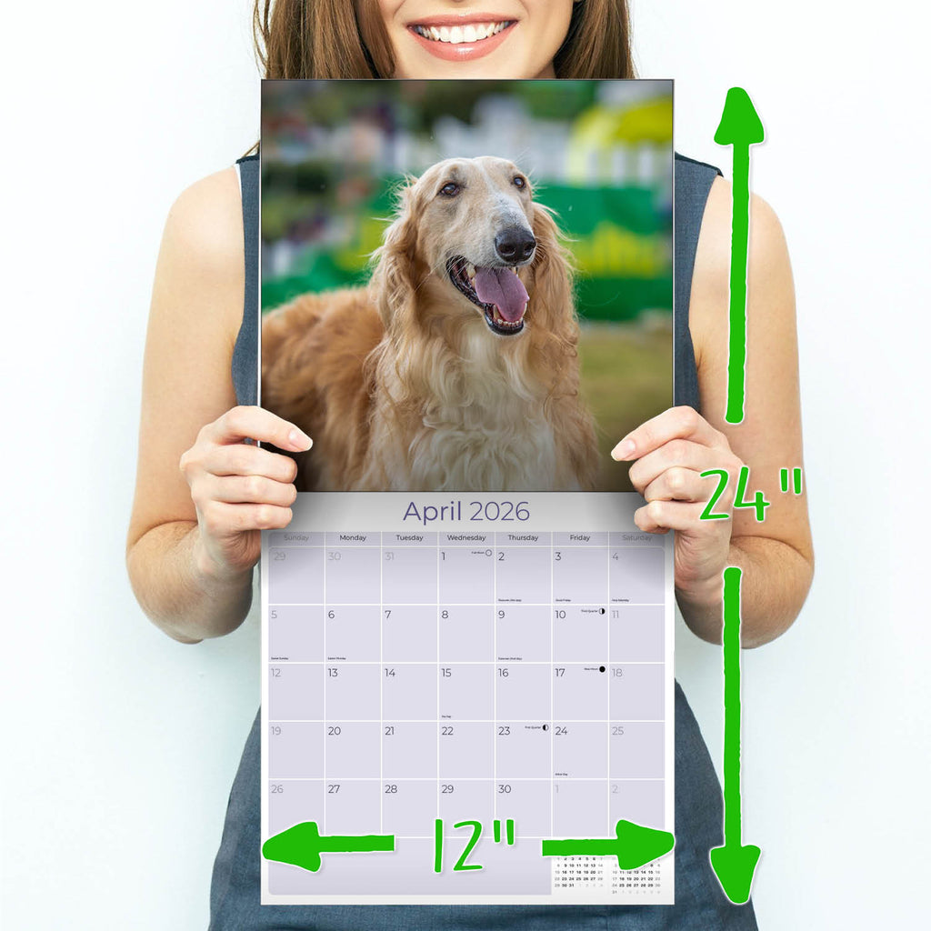 Borzoi Wall Calendar 2026