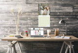 Borzoi Wall Calendar 2026