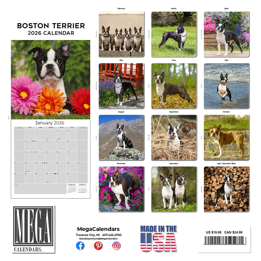 Boston Terrier Wall Calendar 2026